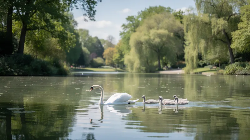 Découverte du lac Daumesnil à Paris : un havre de paix
