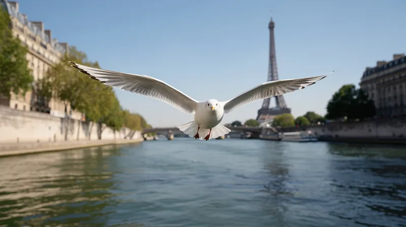 Découvrez la beauté et les caractéristiques de la mouette en photos